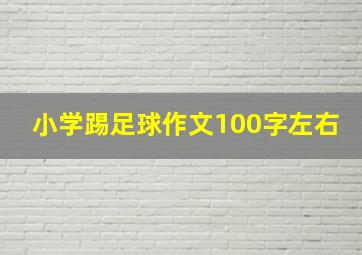 小学踢足球作文100字左右