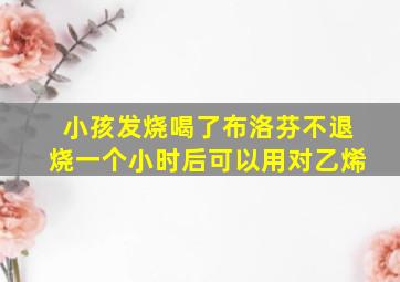 小孩发烧喝了布洛芬不退烧一个小时后可以用对乙烯