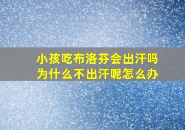 小孩吃布洛芬会出汗吗为什么不出汗呢怎么办