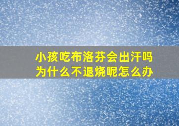 小孩吃布洛芬会出汗吗为什么不退烧呢怎么办