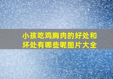 小孩吃鸡胸肉的好处和坏处有哪些呢图片大全