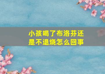 小孩喝了布洛芬还是不退烧怎么回事