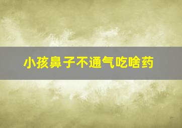 小孩鼻子不通气吃啥药