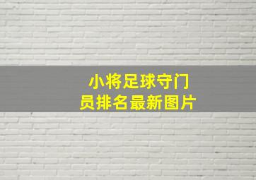 小将足球守门员排名最新图片