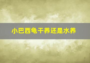 小巴西龟干养还是水养