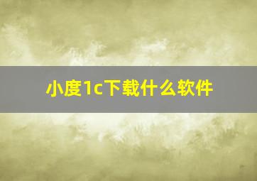 小度1c下载什么软件