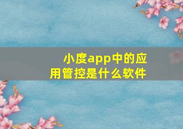 小度app中的应用管控是什么软件