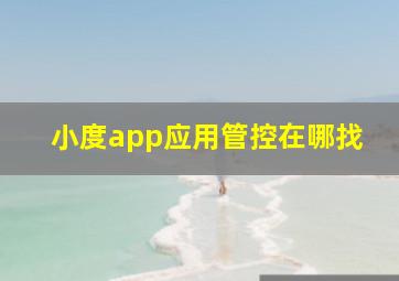 小度app应用管控在哪找