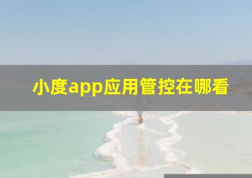 小度app应用管控在哪看