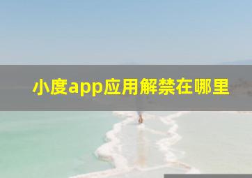 小度app应用解禁在哪里