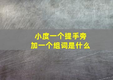 小度一个提手旁加一个组词是什么