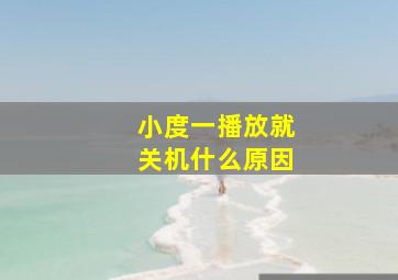 小度一播放就关机什么原因