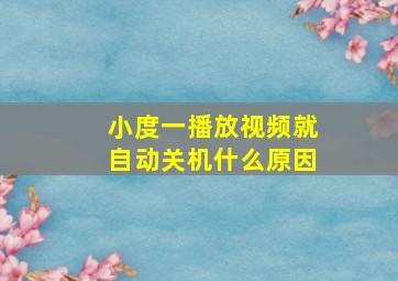 小度一播放视频就自动关机什么原因