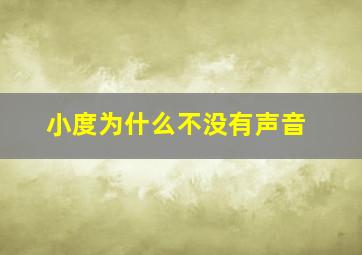 小度为什么不没有声音