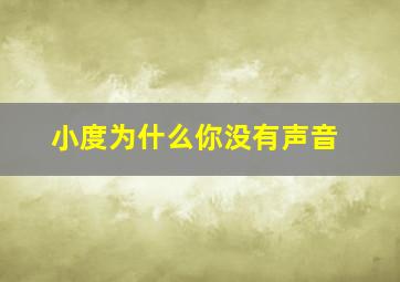 小度为什么你没有声音