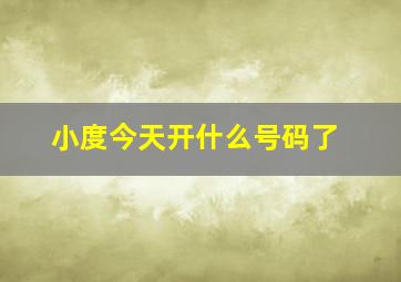 小度今天开什么号码了