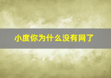 小度你为什么没有网了