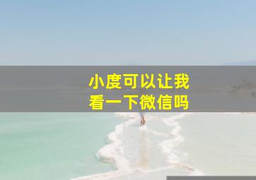 小度可以让我看一下微信吗