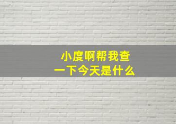 小度啊帮我查一下今天是什么