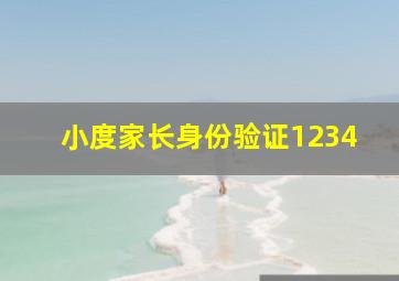 小度家长身份验证1234