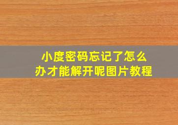 小度密码忘记了怎么办才能解开呢图片教程