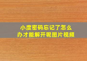 小度密码忘记了怎么办才能解开呢图片视频