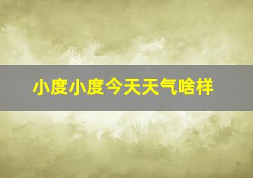 小度小度今天天气啥样