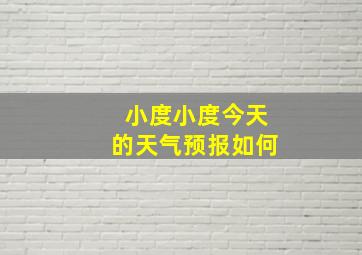 小度小度今天的天气预报如何