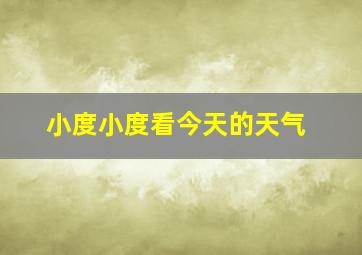 小度小度看今天的天气