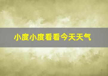 小度小度看看今天天气