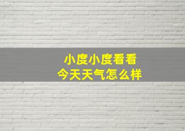 小度小度看看今天天气怎么样