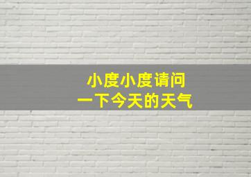 小度小度请问一下今天的天气