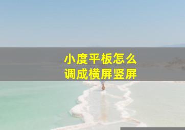 小度平板怎么调成横屏竖屏