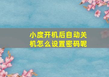 小度开机后自动关机怎么设置密码呢