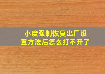 小度强制恢复出厂设置方法后怎么打不开了