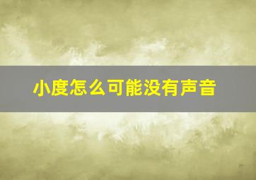 小度怎么可能没有声音