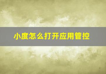 小度怎么打开应用管控