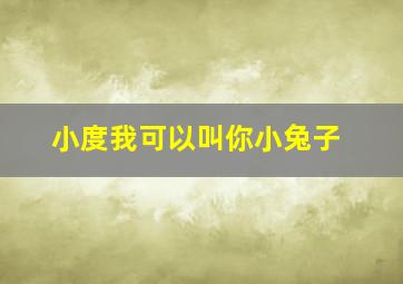 小度我可以叫你小兔子