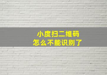 小度扫二维码怎么不能识别了