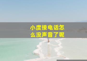 小度接电话怎么没声音了呢