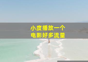 小度播放一个电影好多流量