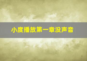 小度播放第一章没声音