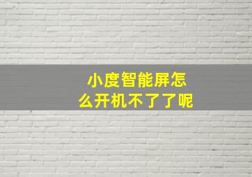 小度智能屏怎么开机不了了呢