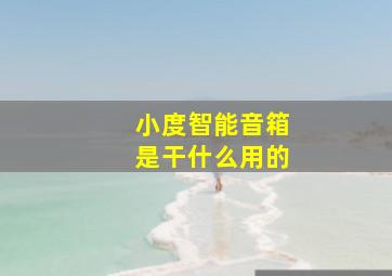 小度智能音箱是干什么用的