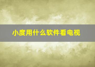 小度用什么软件看电视