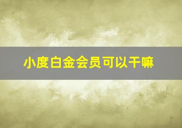 小度白金会员可以干嘛