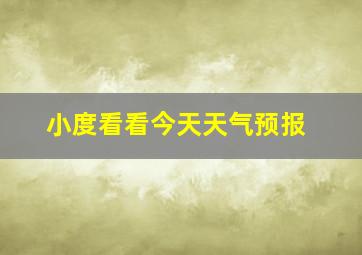 小度看看今天天气预报