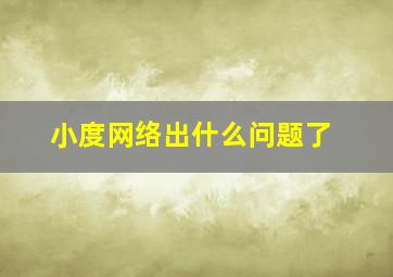 小度网络出什么问题了