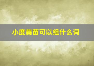 小度蒜苗可以组什么词