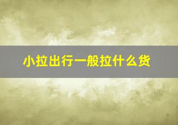 小拉出行一般拉什么货